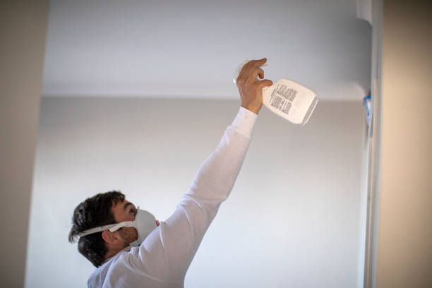 Best Fast Mold Removal  in Anthony, KS